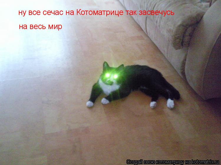 ну все сечас на Котоматрице так засвечусь на весь мир... Котоматрица: ну все сечас на Котоматрице так засвечусь на весь мир