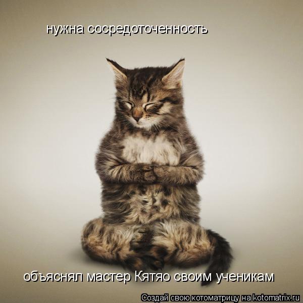 нужна сосредоточенность объяснял мастер Кятяо своим ученикам... Котоматрица: нужна сосредоточенность объяснял мастер Кятяо своим ученикам