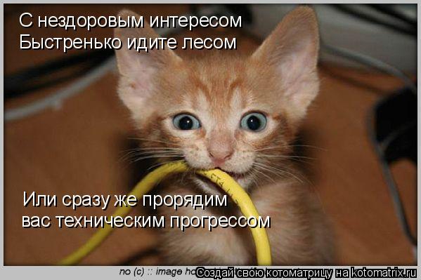 С нездоровым интересом Быстренько идите лесом Или сразу же прорядим вас техническим прогрессом... Котоматрица: С нездоровым интересом Быстренько идите лесом Или сразу же прорядим вас техническим прогрессом