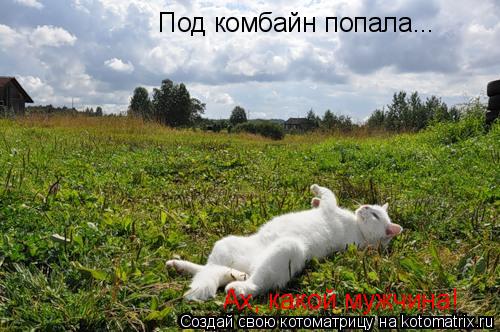 Под комбайн попала... Ах, какой мужчина! Ах, какой мужчина!... Котоматрица: Под комбайн попала... Ах, какой мужчина! Ах, какой мужчина!