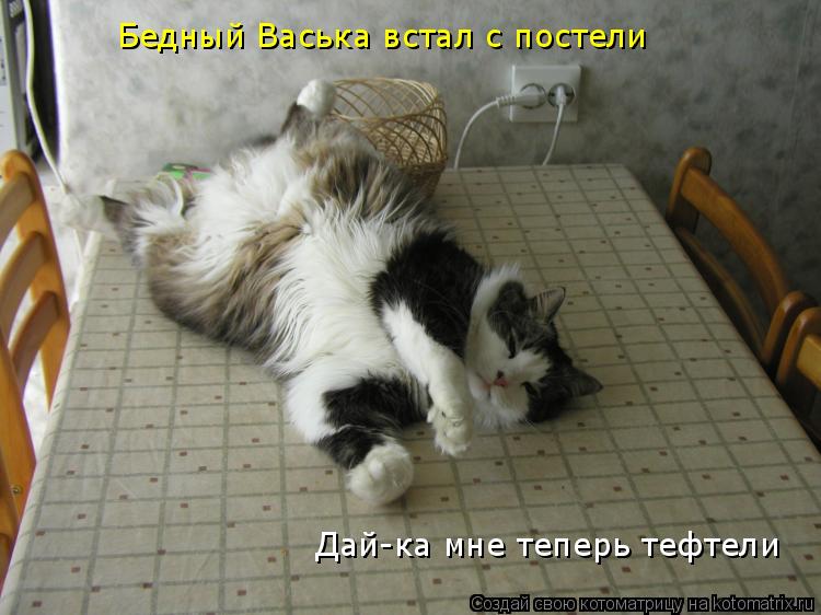 Бедный Васька встал с постели Дай-ка мне теперь тефтели... Котоматрица: Бедный Васька встал с постели Дай-ка мне теперь тефтели