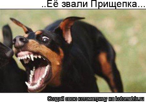 ..Её звали Прищепка...... Котоматрица: ..Её звали Прищепка...