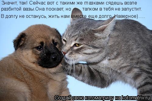 Значит, так! Сейчас вот с такими же глазками сядешь возле В долгу не останусь, жить нам вместе еще д... Котоматрица: Значит, так! Сейчас вот с такими же глазками сядешь возле В долгу не останусь, жить нам вместе еще долго. Наверное)..... разбитой вазы.Она поох