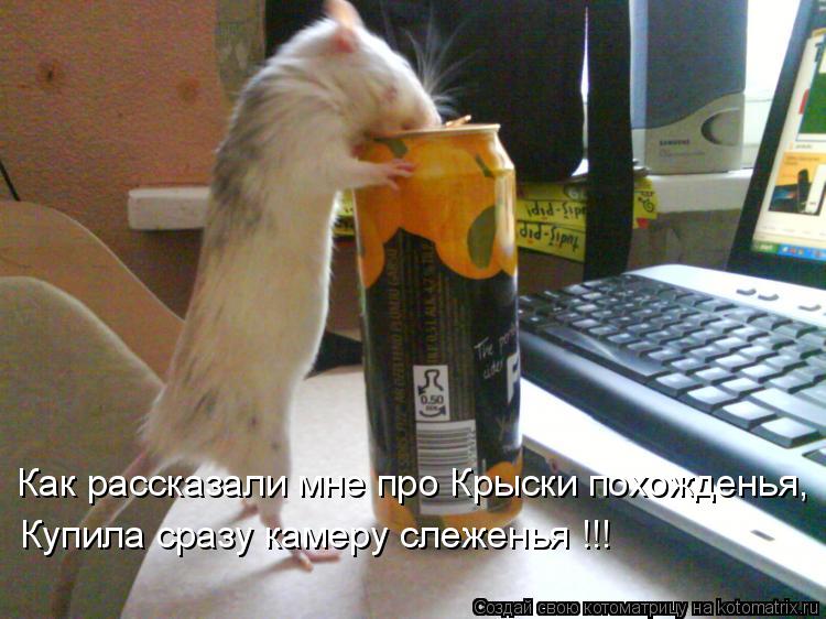 Купила сразу камеру слеженья !!! Как рассказали мне про Крыски похожденья,... Котоматрица: Купила сразу камеру слеженья !!! Как рассказали мне про Крыски похожденья,