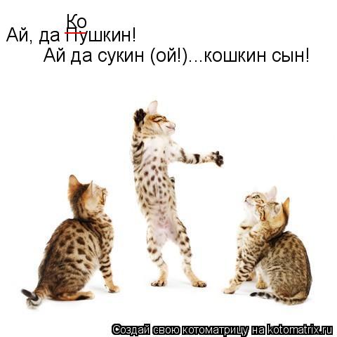Котоматрица: Ай, да Пушкин! Ай да сукин (ой!)...кошкин сын! __ Ко