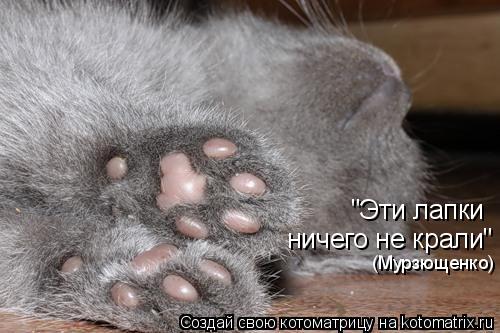 ничего не крали" "Эти лапки (Мурзющенко)... Котоматрица: ничего не крали" "Эти лапки (Мурзющенко)