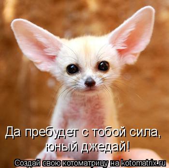 Да пребудет с тобой сила, юный джедай!... Котоматрица: Да пребудет с тобой сила, юный джедай!