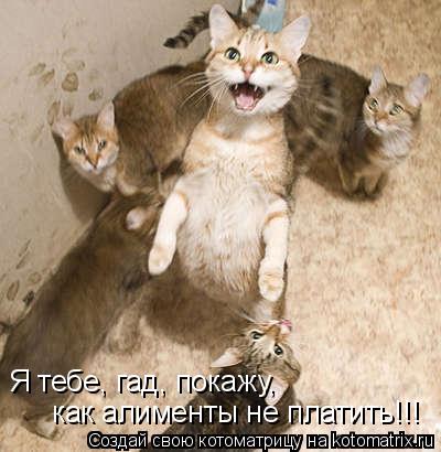 Я тебе, гад, покажу, как алименты не платить!!!... Котоматрица: Я тебе, гад, покажу, как алименты не платить!!!