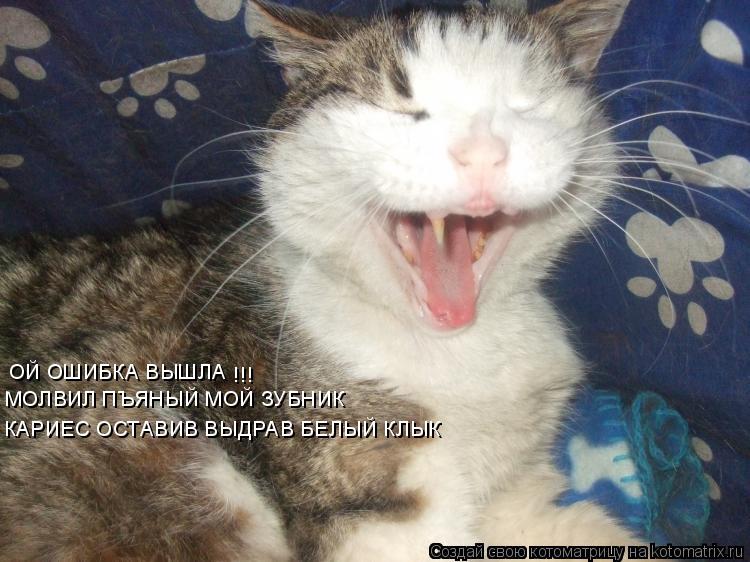 ОЙ ОШИБКА ВЫШЛА МОЛВИЛ ПЪЯНЫЙ МОЙ ЗУБНИК КАРИЕС ОСТАВИВ ВЫДРАВ БЕЛЫЙ КЛЫК !!!... Котоматрица: ОЙ ОШИБКА ВЫШЛА МОЛВИЛ ПЪЯНЫЙ МОЙ ЗУБНИК КАРИЕС ОСТАВИВ ВЫДРАВ БЕЛЫЙ КЛЫК !!!