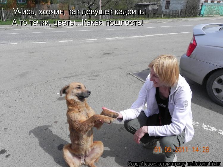 Учись, хозяин, как девушек кадрить! А то тачки, цветы...Какая пошлость!... Котоматрица: Учись, хозяин, как девушек кадрить! А то тачки, цветы...Какая пошлость!