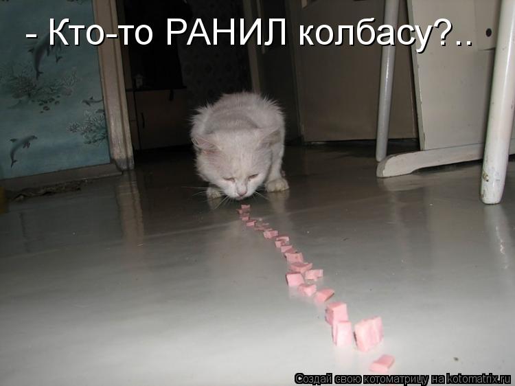 - Кто-то РАНИЛ колбасу?..... Котоматрица: - Кто-то РАНИЛ колбасу?..