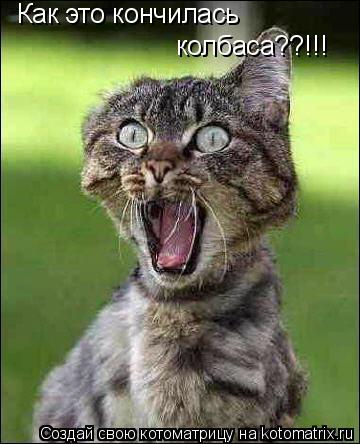 колбаса??!!! Как это кончилась... Котоматрица: колбаса??!!! Как это кончилась