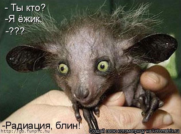 - Ты кто? -Я ёжик. -??? -Радиация, блин!... Котоматрица: - Ты кто? -Я ёжик. -??? -Радиация, блин!