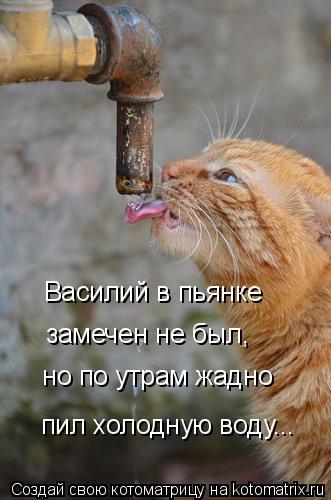 Василий в пьянке замечен не был, но по утрам жадно пил холодную воду...... Котоматрица: Василий в пьянке замечен не был, но по утрам жадно пил холодную воду...