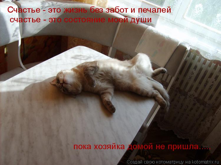 Счастье - это жизнь без забот и печалей счастье - это состояние моей души пока хозяйка домой не пришл... Котоматрица: Счастье - это жизнь без забот и печалей счастье - это состояние моей души пока хозяйка домой не пришла.....