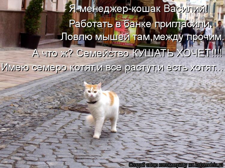 Я-менеджер-кошак Василий! Работать в банке пригласили. Ловлю мышей там,между прочим. А что ж? Семей... Котоматрица: Я-менеджер-кошак Василий! Работать в банке пригласили. Ловлю мышей там,между прочим. А что ж? Семейство КУШАТЬ ХОЧЕТ!!!! Имею семеро котят,и в
