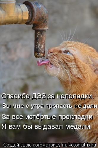 Спасибо,ДЭЗ,за неполадки. Вы мне с утра пропасть не дали. За все истёртые прокладки Я вам бы выдавал ... Котоматрица: Спасибо,ДЭЗ,за неполадки. Вы мне с утра пропасть не дали. За все истёртые прокладки Я вам бы выдавал медали.