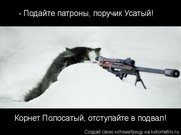- Подайте патроны, поручик Усатый! Корнет Полосатый, отступайте в подвал!... Котоматрица: - Подайте патроны, поручик Усатый! Корнет Полосатый, отступайте в подвал!