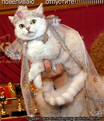 повеливаю отпустите!!!!!!!!!!!!!!!!!!!!!!... Котоматрица: повеливаю отпустите!!!!!!!!!!!!!!!!!!!!!!