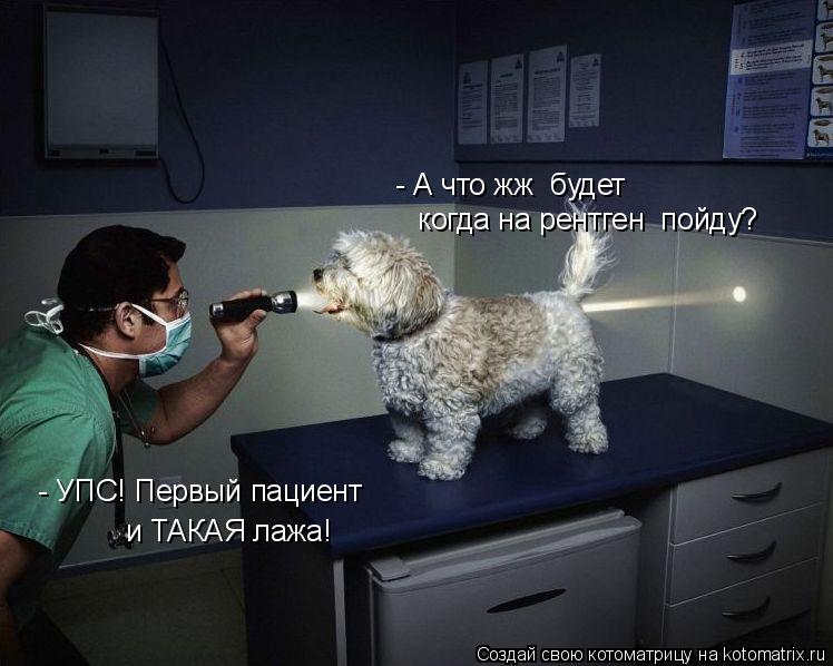 - А что жж будет когда на рентген пойду? - УПС! Первый пациент и ТАКАЯ лажа!... Котоматрица: - А что жж будет когда на рентген пойду? - УПС! Первый пациент и ТАКАЯ лажа!