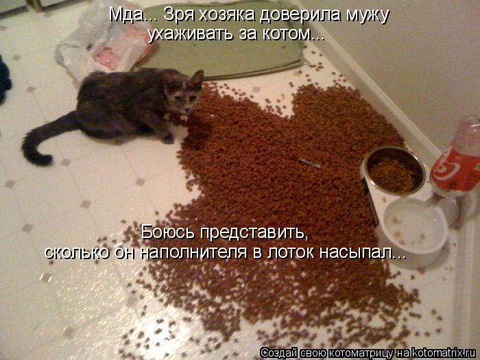 Мда... Зря хозяка доверила мужу ухаживать за котом... Боюсь представить, сколько он наполнителя в ... Котоматрица: Мда... Зря хозяка доверила мужу ухаживать за котом... Боюсь представить, сколько он наполнителя в лоток насыпал...