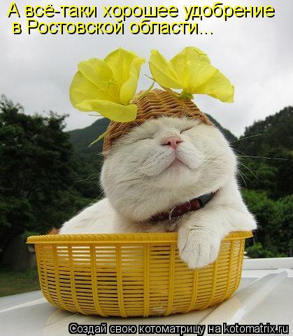 А всё-таки хорошее удобрение в Ростовской области...... Котоматрица: А всё-таки хорошее удобрение в Ростовской области...