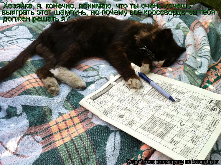Хозяйка, я, конечно, понимаю, что ты очень хочешь выиграть этот шампунь, но почему все кроссворды за... Котоматрица: Хозяйка, я, конечно, понимаю, что ты очень хочешь выиграть этот шампунь, но почему все кроссворды за тебя должен решать я?