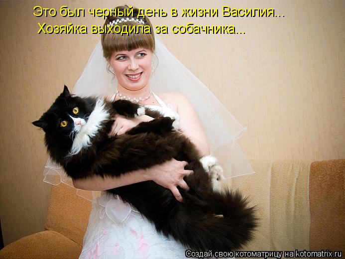 Это был черный день в жизни Василия... Хозяйка выходила за собачника...... Котоматрица: Это был черный день в жизни Василия... Хозяйка выходила за собачника...