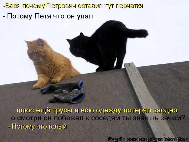 -Вася почему Петрович оставил тут перчатки - Потому Петя что он упал плюс ещё трусы и всю одежду поте... Котоматрица: -Вася почему Петрович оставил тут перчатки - Потому Петя что он упал плюс ещё трусы и всю одежду потерял заодно о смотри он побежал к соседям