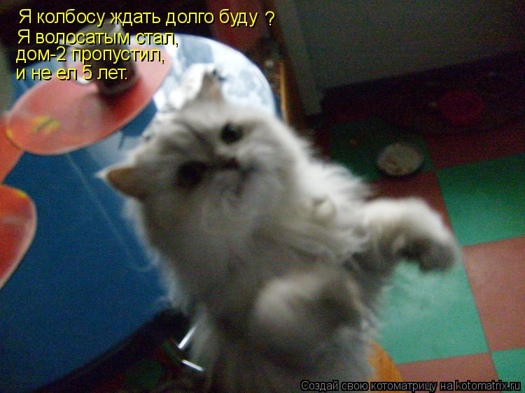 Я колбосу ждать долго буду ? Я волосатым стал, дом-2 пропустил, и не ел 5 лет.... Котоматрица: Я колбосу ждать долго буду ? Я волосатым стал, дом-2 пропустил, и не ел 5 лет.