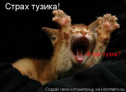 Страх тузика! А где тузка?... Котоматрица: Страх тузика! А где тузка?