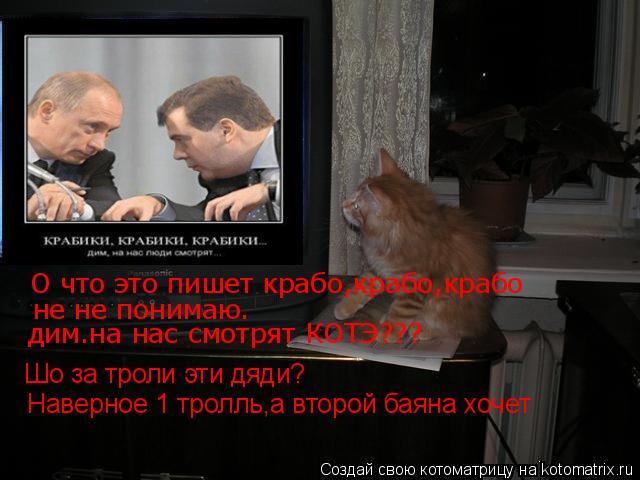 Котоматрица: Шо за троли эти дяди? Наверное 1 тролль,а второй баяна хочет О что это пишет крабо,крабо,крабо не не понимаю. дим.на нас смотрят КОТЭ???
