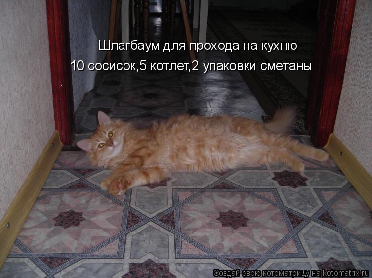 Котоматрица: Шлагбаум для прохода на кухню 10 сосисок,5 котлет,2 упаковки сметаны