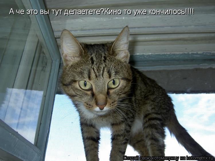 Котоматрица: А че это вы тут делаетете?Кино то уже кончилось!!!!