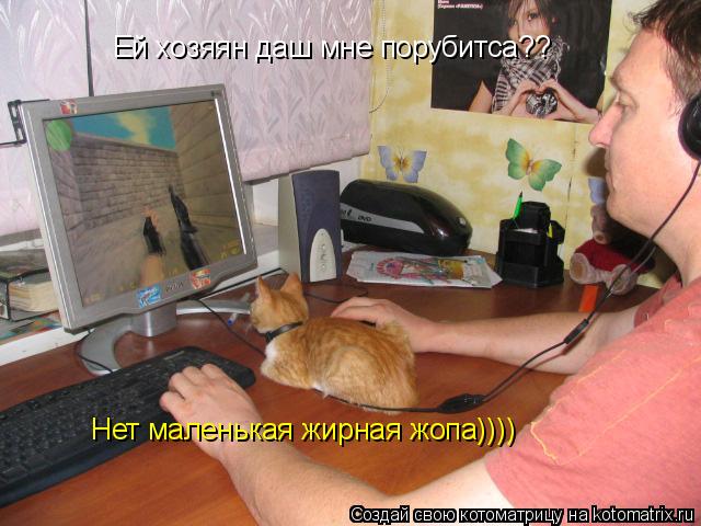 Котоматрица: Ей хозяян даш мне  Ей хозяян даш мне порубитса?? Нет маленькая жирная жопа))))