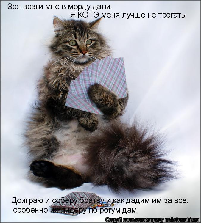 Котоматрица: Зря враги мне в морду дали. Доиграю и соберу братву и как дадим им за всё. особенно их лидеру по рогум дам. Я КОТЭ меня лучше не трогать