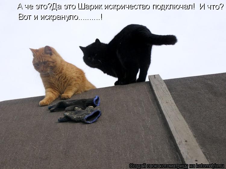 Котоматрица: А че это?Да это Шарик искричество подключал! Вот и искрануло..........! И что?