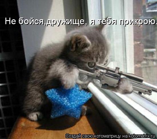 Не бойся,дружище, я тебя прикрою.... Котоматрица: Не бойся,дружище, я тебя прикрою.