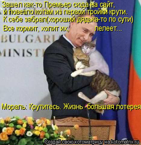 Зашел как-то Премьер сюда на сайт, и повезло котам из первой тройки крути. К себе забрал(хороший дяд... Котоматрица: Зашел как-то Премьер сюда на сайт, и повезло котам из первой тройки крути. К себе забрал(хороший дядька-то по сути) Все кормит, холит их,