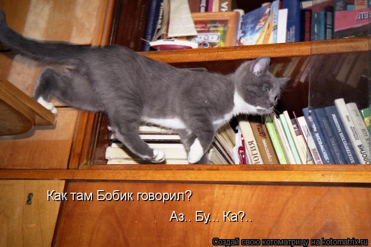Как там Бобик говорил? Аз.. Бу... Ка?..... Котоматрица: Как там Бобик говорил? Аз.. Бу... Ка?..