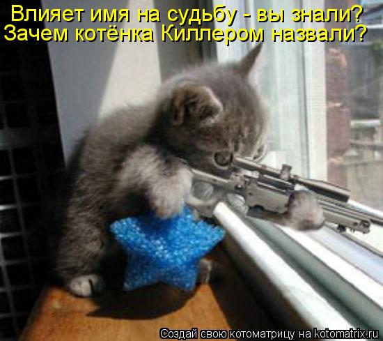 Влияет имя на судьбу - вы знали? Зачем котёнка Киллером назвали?... Котоматрица: Влияет имя на судьбу - вы знали? Зачем котёнка Киллером назвали?