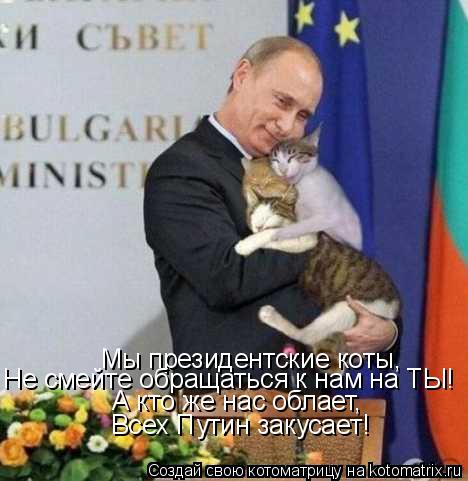 Мы президентские коты, Не смейте обращаться к нам на ТЫ! А кто же нас облает, Всех Путин закусает!... Котоматрица: Мы президентские коты, Не смейте обращаться к нам на ТЫ! А кто же нас облает, Всех Путин закусает!