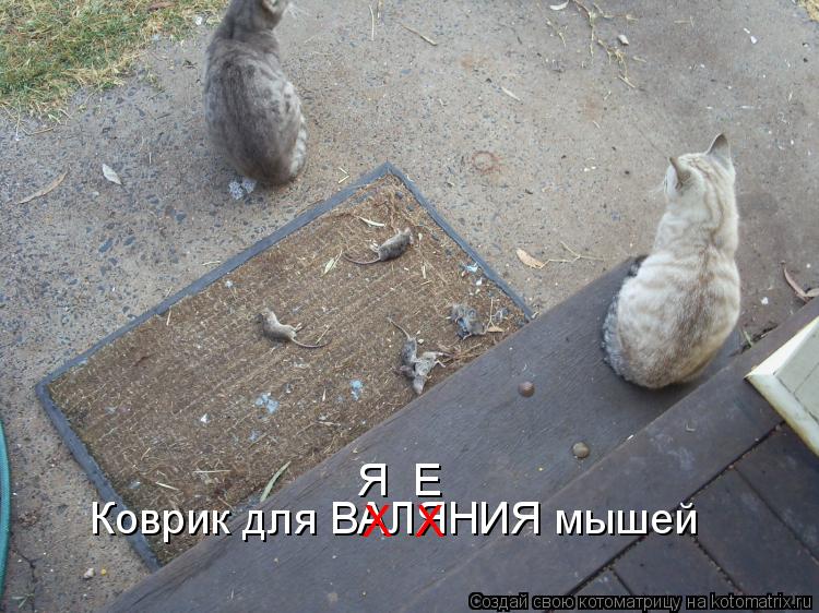Коврик для ВАЛЯНИЯ мышей Я Е Х Х... Котоматрица: Коврик для ВАЛЯНИЯ мышей Я Е Х Х