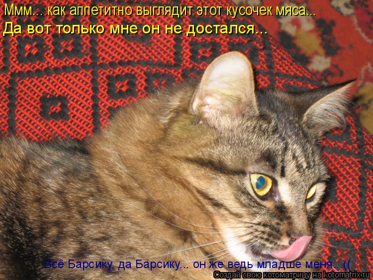 Ммм... как аппетитно выглядит этот кусочек мяса... Да вот только мне он не достался... Всё Барсику, д... Котоматрица: Ммм... как аппетитно выглядит этот кусочек мяса... Да вот только мне он не достался... Всё Барсику, да Барсику... он же ведь младше меня...((