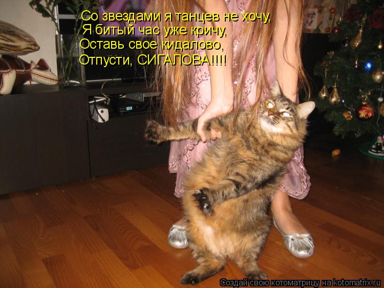 Со звездами я танцев не хочу, Я битый час уже кричу, Оставь свое кидалово, Отпусти, СИГАЛОВА!!!!... Котоматрица: Со звездами я танцев не хочу, Я битый час уже кричу, Оставь свое кидалово, Отпусти, СИГАЛОВА!!!!