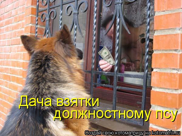 должностному псу Дача взятки... Котоматрица: должностному псу Дача взятки