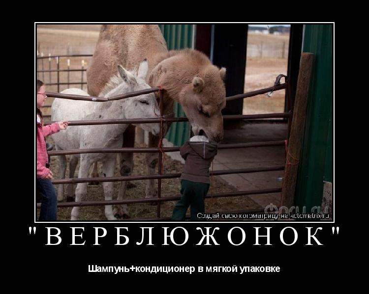 Котоматрица: "верблюжонок" Шампунь+кондиционер в мягкой упаковке