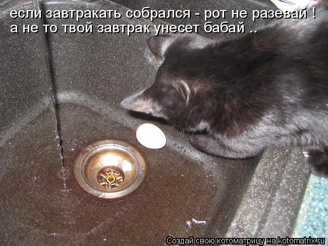 если завтракать собрался - рот не разевай ! а не то твой завтрак унесет бабай ..... Котоматрица: если завтракать собрался - рот не разевай ! а не то твой завтрак унесет бабай ..