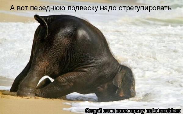 А вот переднюю подвеску надо отрегулировать... Котоматрица: А вот переднюю подвеску надо отрегулировать