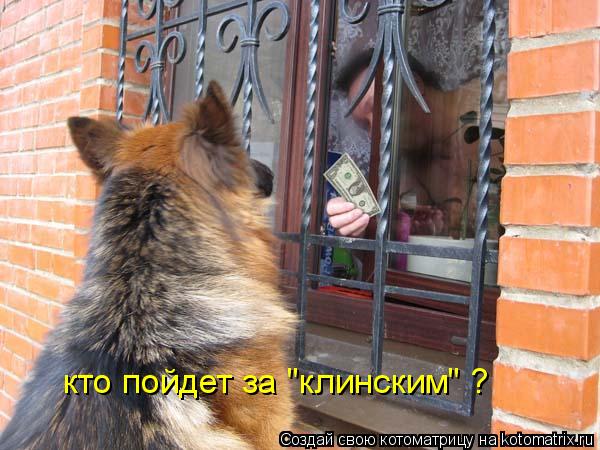 кто пойдет за "клинским" ?... Котоматрица: кто пойдет за "клинским" ?